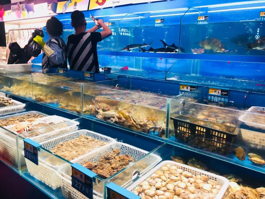 变身斑菜马还会全家爱吃